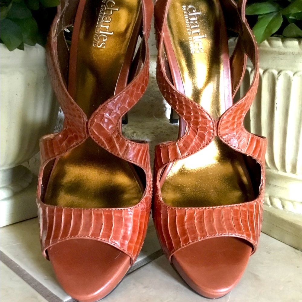 Charles David Tan/Rust Platform Heel - image 1